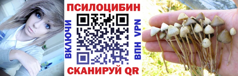 Галлюциногенные грибы GOLDEN TEACHER  купить наркотики сайты  Пестово 